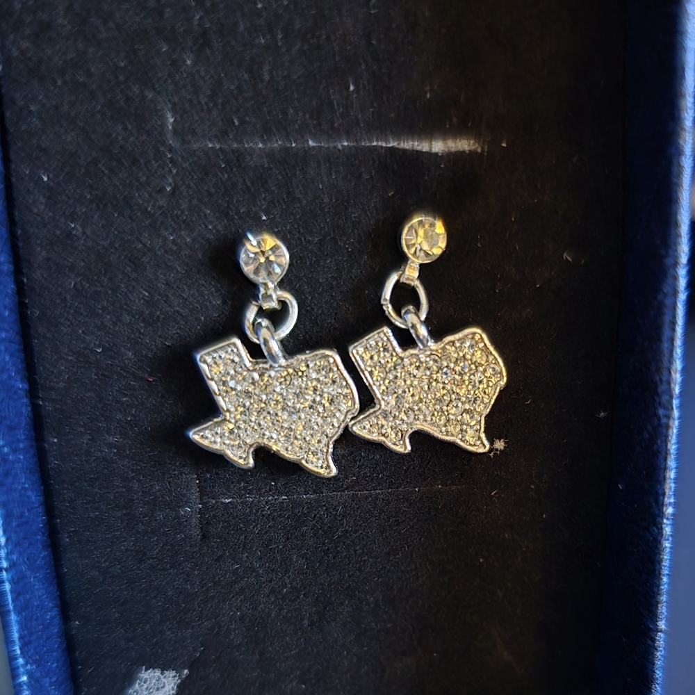 Silver Pave Texas Shaped Earrings